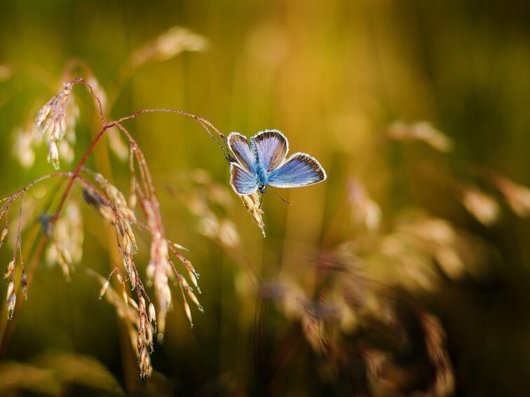 eenzaamheid als kans om te groeien en spiritueel te ontwikkelen