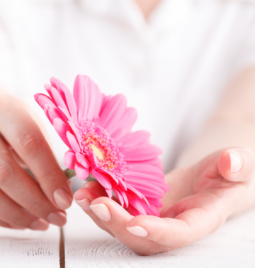 HSP en grenzen stellen