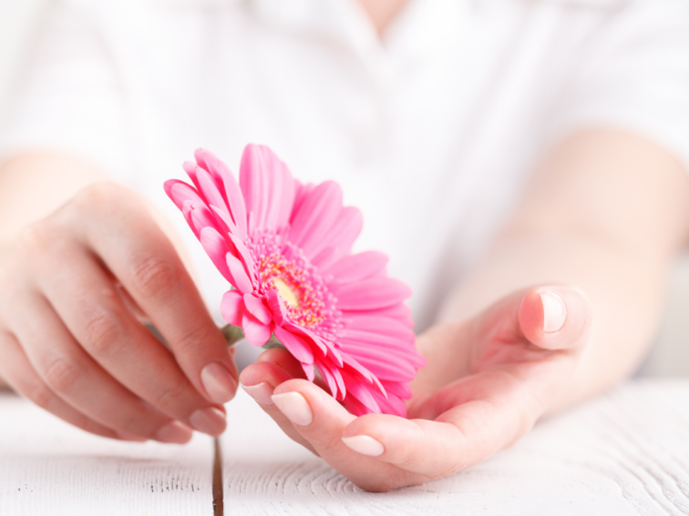 HSP en grenzen stellen